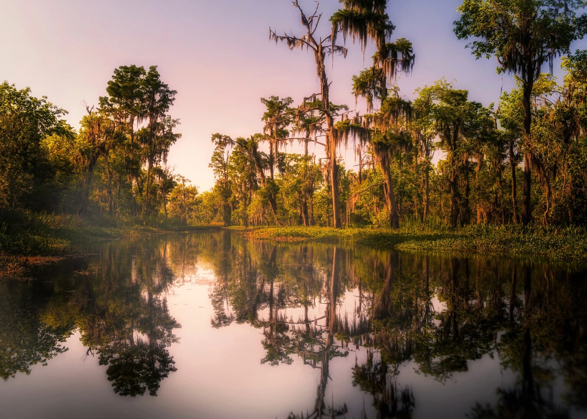 Hammond, LA