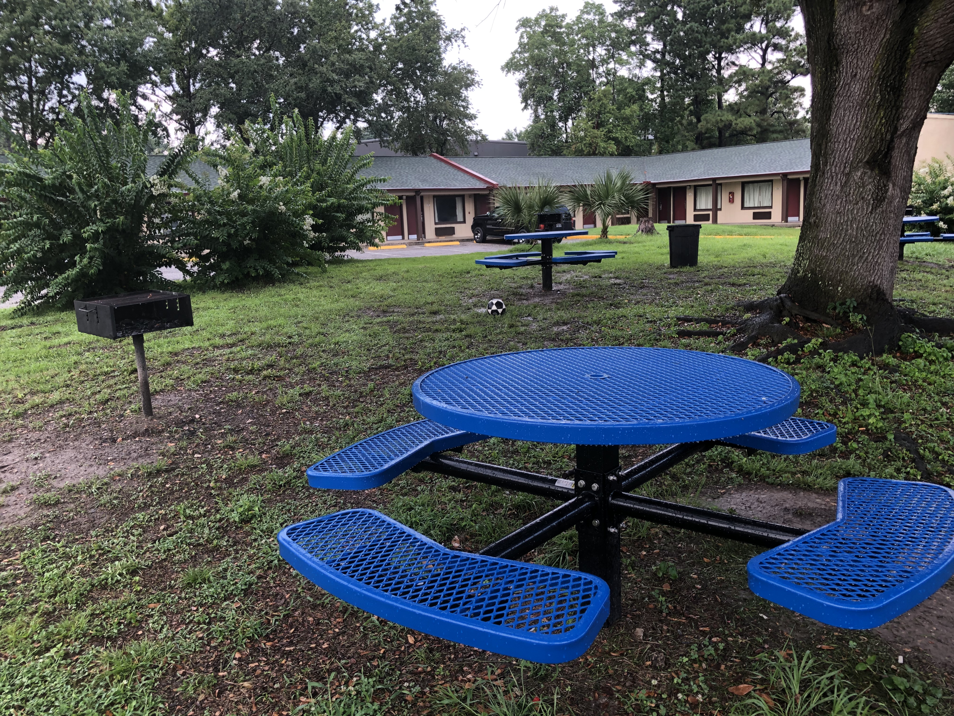 Court Yard