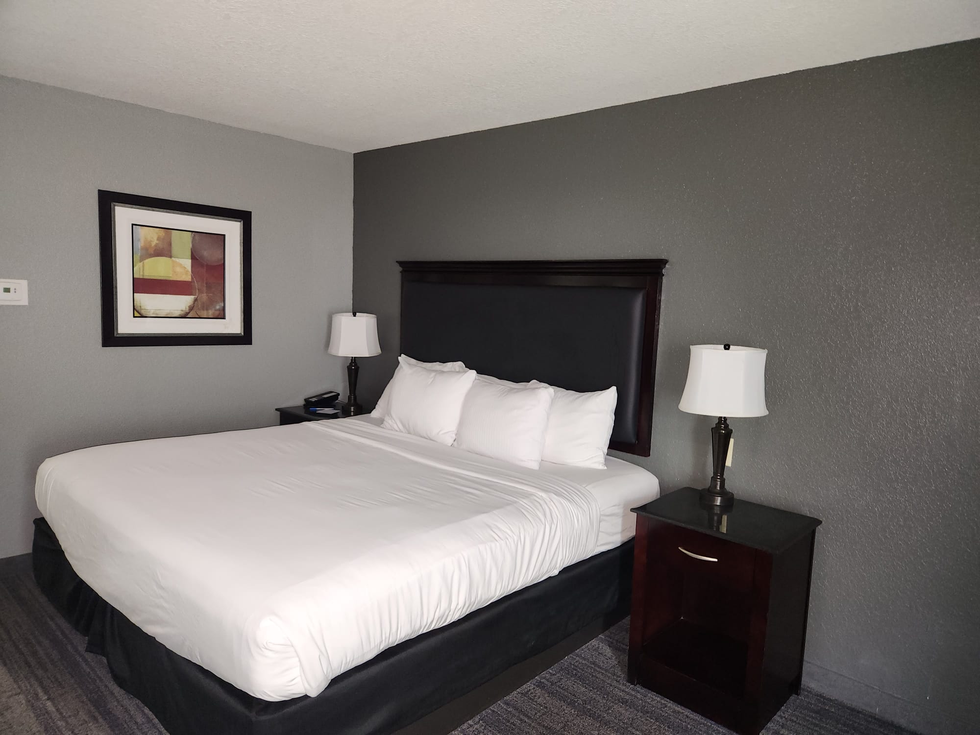Non Smoking King Bed